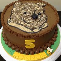 5th Birthday Crushed Maltesers Winnie the Pooh Birthday Cake