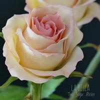 Sweet elegance sugar roses