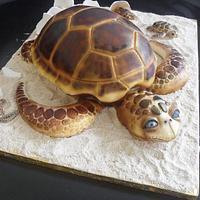 My 2. Turtle