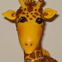 Baby Anderson's Giraffe