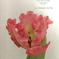 My first Sugar Parrot Tulip