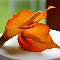 Burnt Orange Calla Lillies