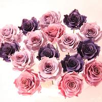 Purple Romance 