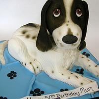 Liver & White Springer Spaniel Dog Cake - cake by Sam - CakesDecor