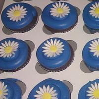 Daisy cake with Cupcakes