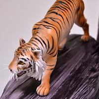 Tiger on a Rock Cake