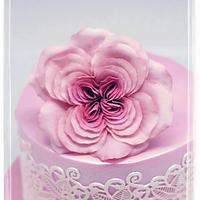  Vintage Rose And Lace Cake For Mommy Dearest!
