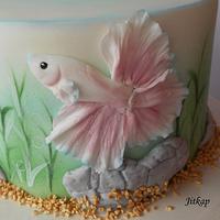 Betta splendens fish cake