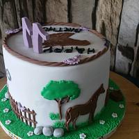 Horse Birthday Cakes
