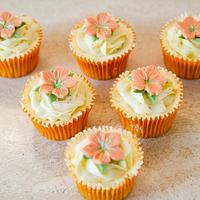 Tangy Orange Cupcakes