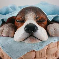 Torta "Cachorro durmiendo"