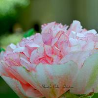 Pink Wafer paper Peony
