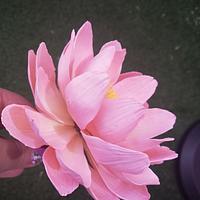 Freeformed sugar Lotus flower 