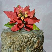 Poinsettia in a Christmas Bas Relief Metallic Cake