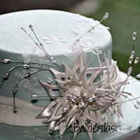 Icy Blue Christmas Cake - cake by Ballderdash &amp; Bunting - CakesDecor