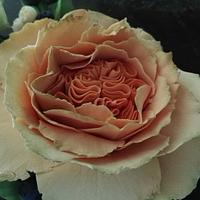 Rose anglaise et myrtilles