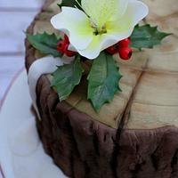 Christmas tree trunk with robin cake 