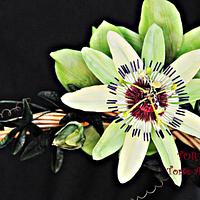 Passionflower composition