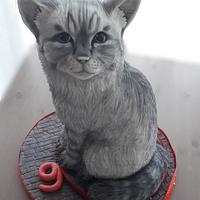 3D Cat cake 3D Cat cake