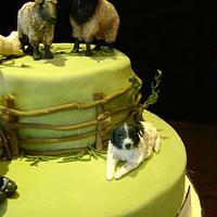 shepherd cake