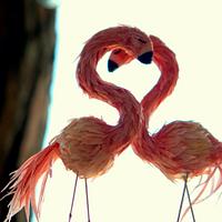 Flamingo Love Wedding Cake - Mericakes Cake Designer