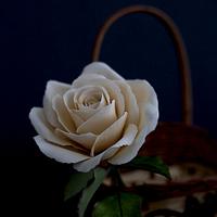 Ivory gumpaste Rose