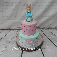 Peter Rabbit Peter Rabbit