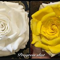 Yellow Sugar rose / transformation!