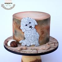 Hand painted bichon frese 