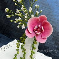 Baby's Breath , Pearl succulents and Moth Orchid arrangement 