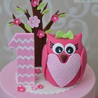 Owl themed 1st birthday cake