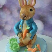 Peter Rabbit Christening cake.