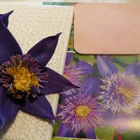 clematis flowers , w/photo ! first try