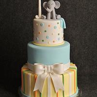 Baby Elephant 1st Birthday