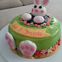 Cake with Rabbit