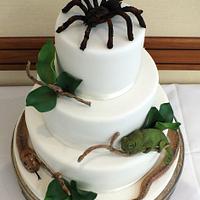 Tarantula, chameleon and snake wedding cake