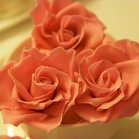 Pretty pink roses
