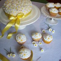 Daisy cake & Cupcakes