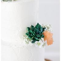 Weddingcake with succulents