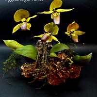 Lady's Slipper Orchid Sugar Flower