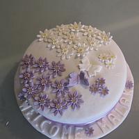 Daisies cake