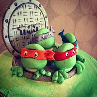 Ninja turtle birthday csjr