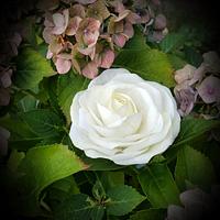 Wafer Paper Rose Wafer Paper Rose