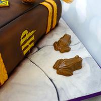 Harry Potter Cake With Light-Up Wand and Edible props
