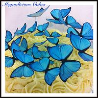 Morphos Butterflies