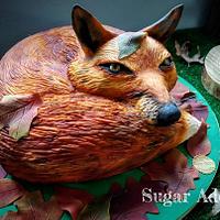 fox fox