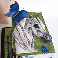 Birthday horse for Timejka